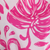 Fucsia Pacífica